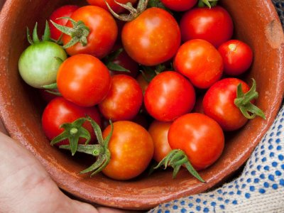 Tomater er en tillidssag